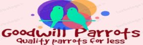 Good Will Parrots